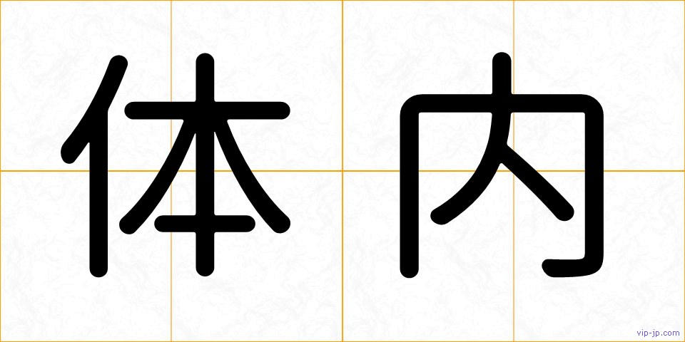 体内の画像