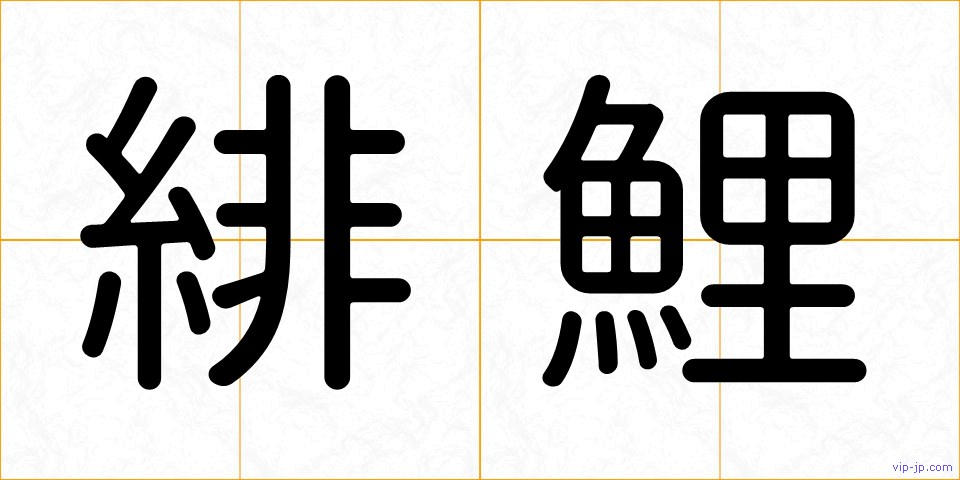 緋鯉の画像