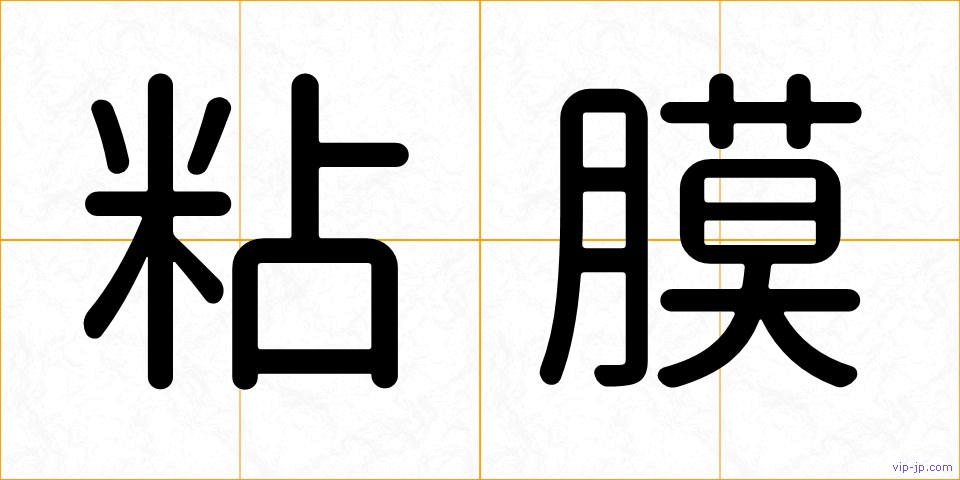 粘膜の画像