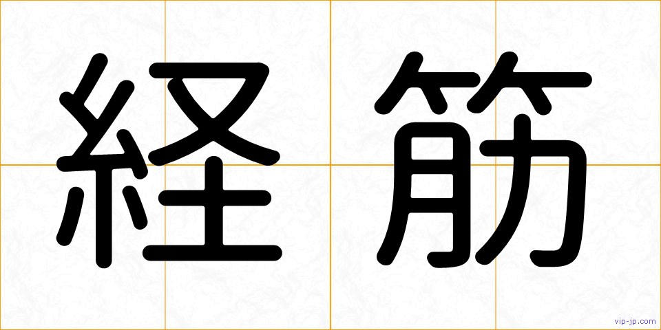 経筋の画像