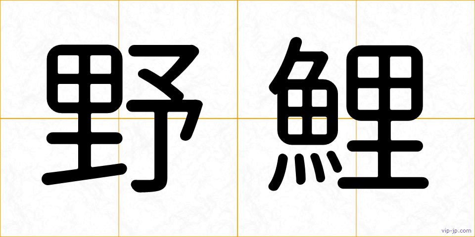 野鯉の画像