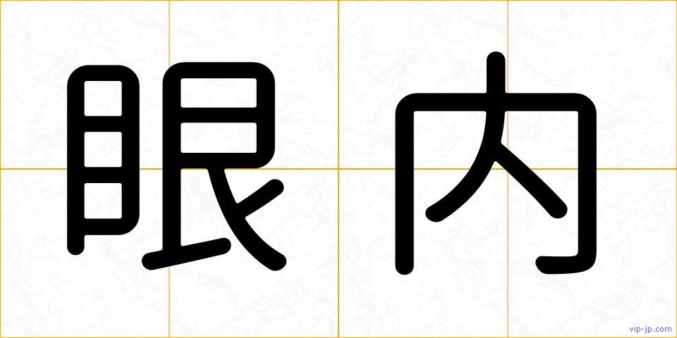 眼内の画像