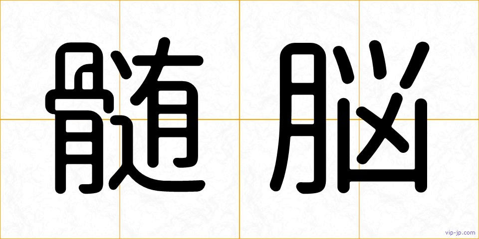 髄脳の画像