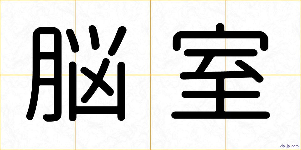 脳室の画像