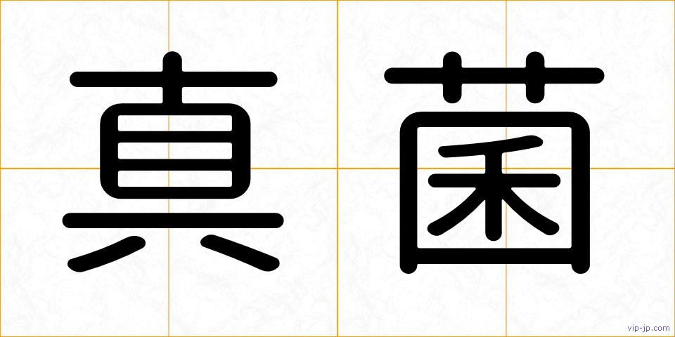 真菌の画像