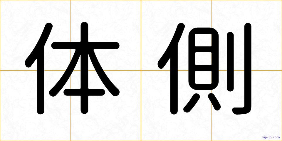 体側の画像