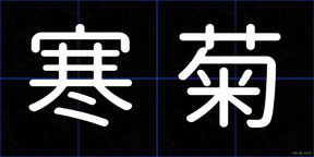寒菊