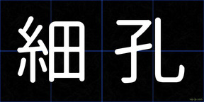 細孔