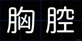 胸腔