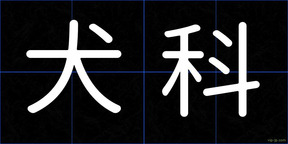 犬科