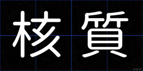核質
