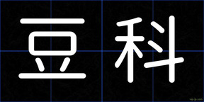 豆科