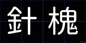 針槐