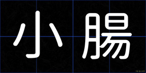 小腸