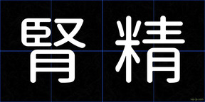 腎精