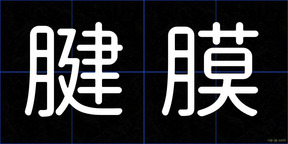 腱膜