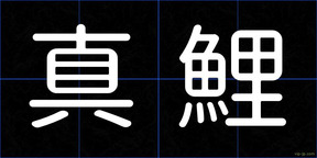 真鯉