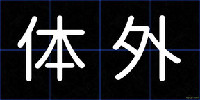 体外