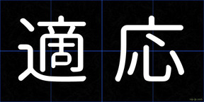 適応