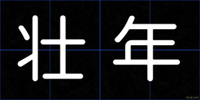 壮年