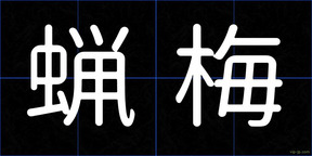 蝋梅