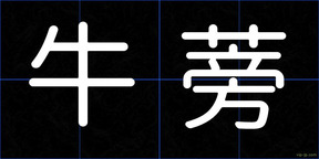 牛蒡