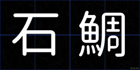 石鯛