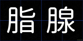 脂腺