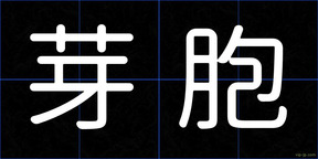 芽胞