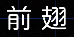前翅
