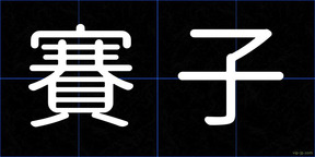 賽子