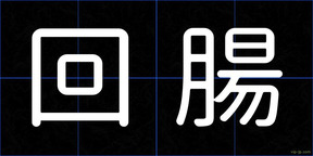 回腸