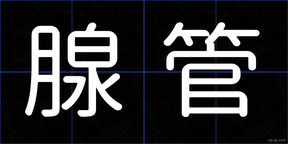 腺管