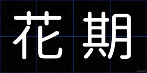 花期