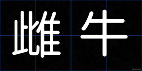 雌牛