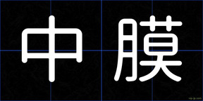 中膜