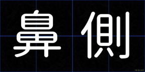 鼻側