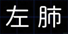 左肺