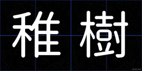 稚樹