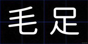 毛足
