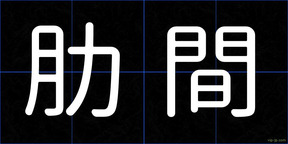 肋間