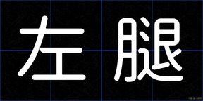 左腿