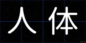 人体