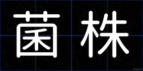 菌株