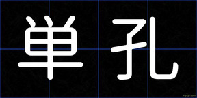 単孔