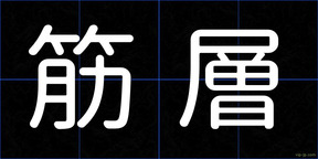 筋層