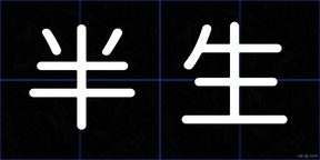 半生