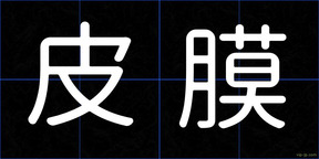皮膜