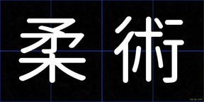 柔術