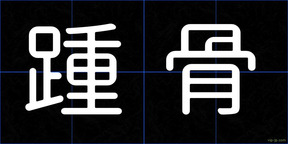 踵骨